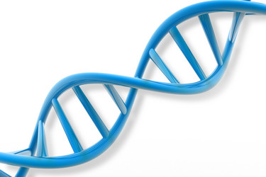 Similar image 1781590