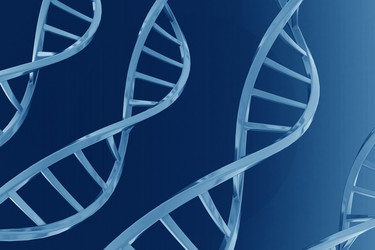 Similar image 1781591