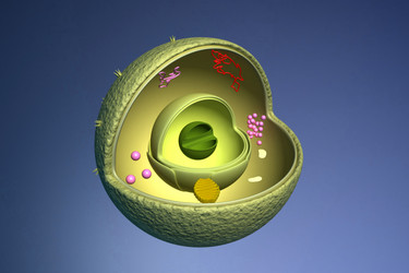 Similar image 1781655