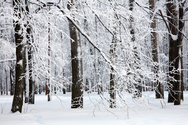 Similar image 1781697