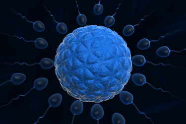 Similar image 1781713