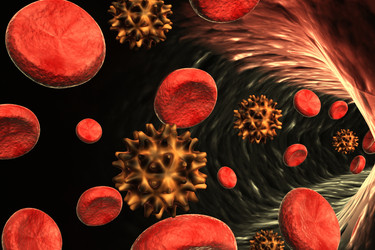 Similar image 1781714