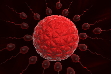 Similar image 1781715