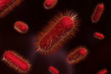 Similar image 1781729