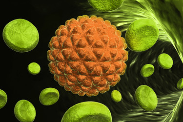 Similar image 1781736