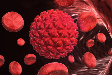 Similar image 1781738