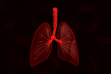 Similar image 1781745