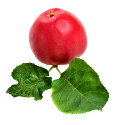 Similar image 1782145