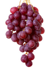 Similar image 1782146