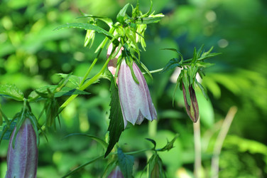 Similar image 1782206