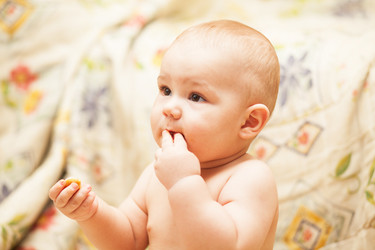 Similar image 1782229