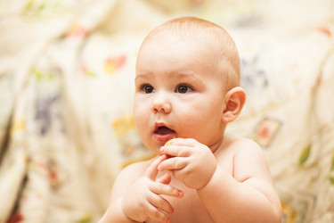 Similar image 1782237