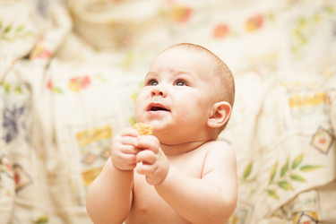 Similar image 1782248