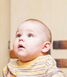 Similar image 1782267