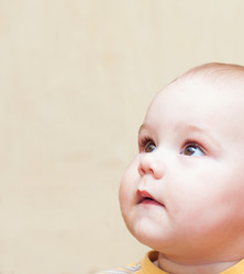 Similar image 1782275