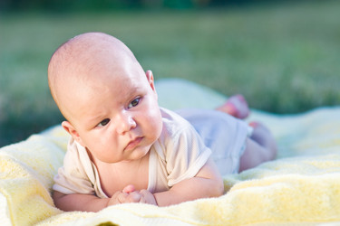 Similar image 1782299