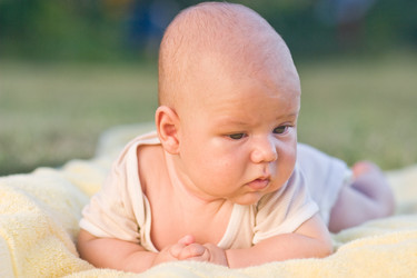 Similar image 1782300