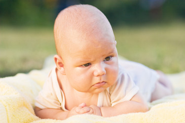 Similar image 1782301