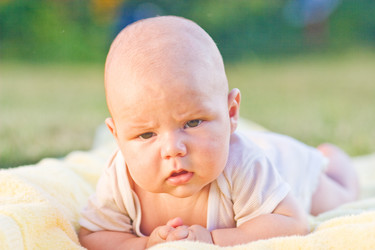 Similar image 1782302