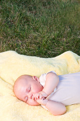 Similar image 1782304