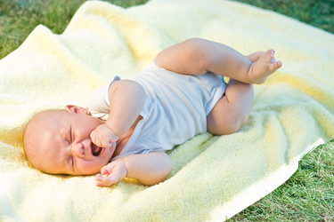 Similar image 1782366