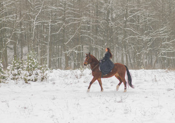 Similar image 1782391