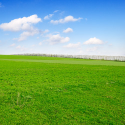 Similar image 1782422