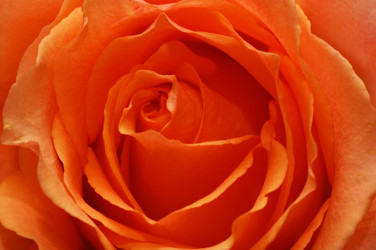 Similar image 1782426