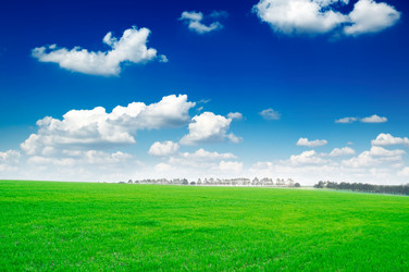 Similar image 1782427