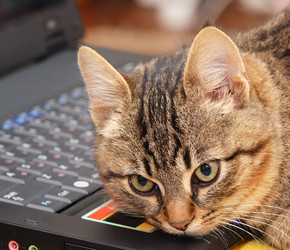 Similar image 1782431