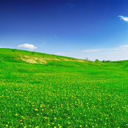 Similar image 1782438