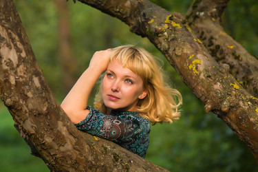 Similar image 1782534