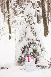 Similar image 1782893