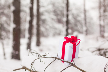 Similar image 1782898