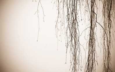 Similar image 1782905