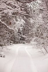 Similar image 1782906