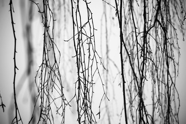 Similar image 1782907