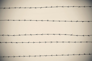 Similar image 1782909