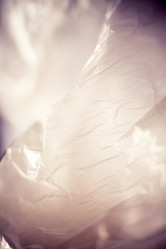 Similar image 1782971