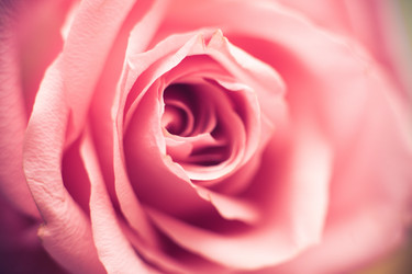 Similar image 1782972