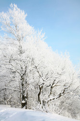 Similar image 1783063