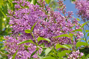 Similar image 1783089