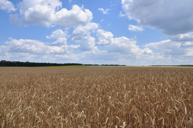 Similar image 1783090