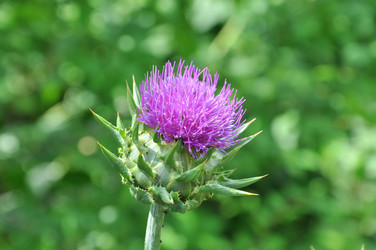 Similar image 1783110