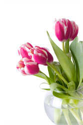 Similar image 1783121