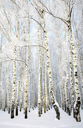 Similar image 1783132