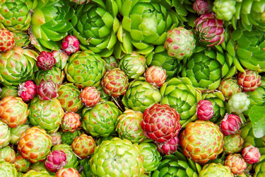 Similar image 1783133