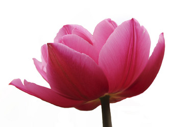 Similar image 1783158