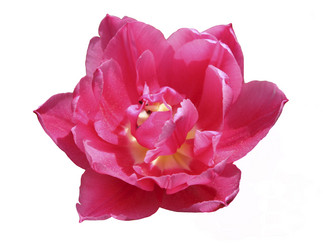 Similar image 1783159