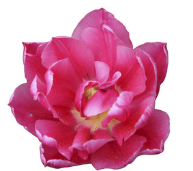 Similar image 1783160